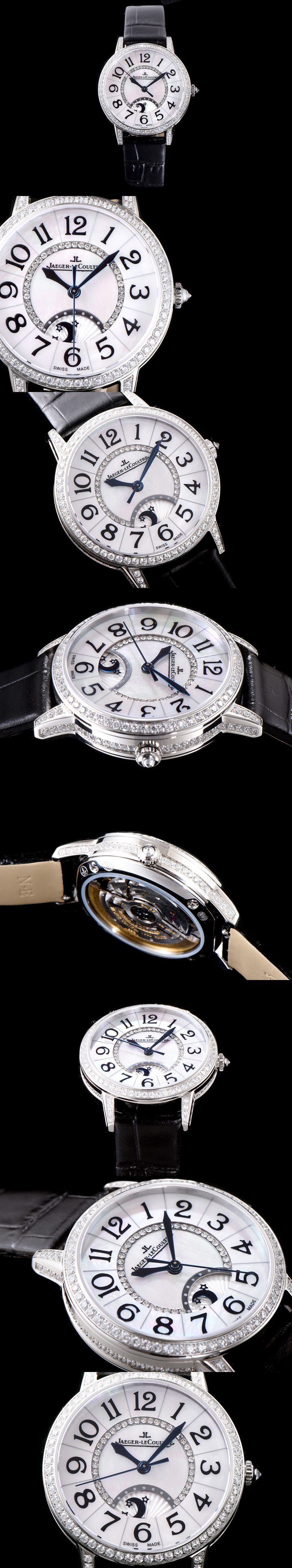 3170_1.jpg